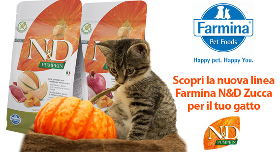 Novità crocchette Farmina gatto alla zucca Grain Free