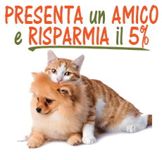 Presenta un amico e risparmia sugli alimenti ed accessori per gatti
